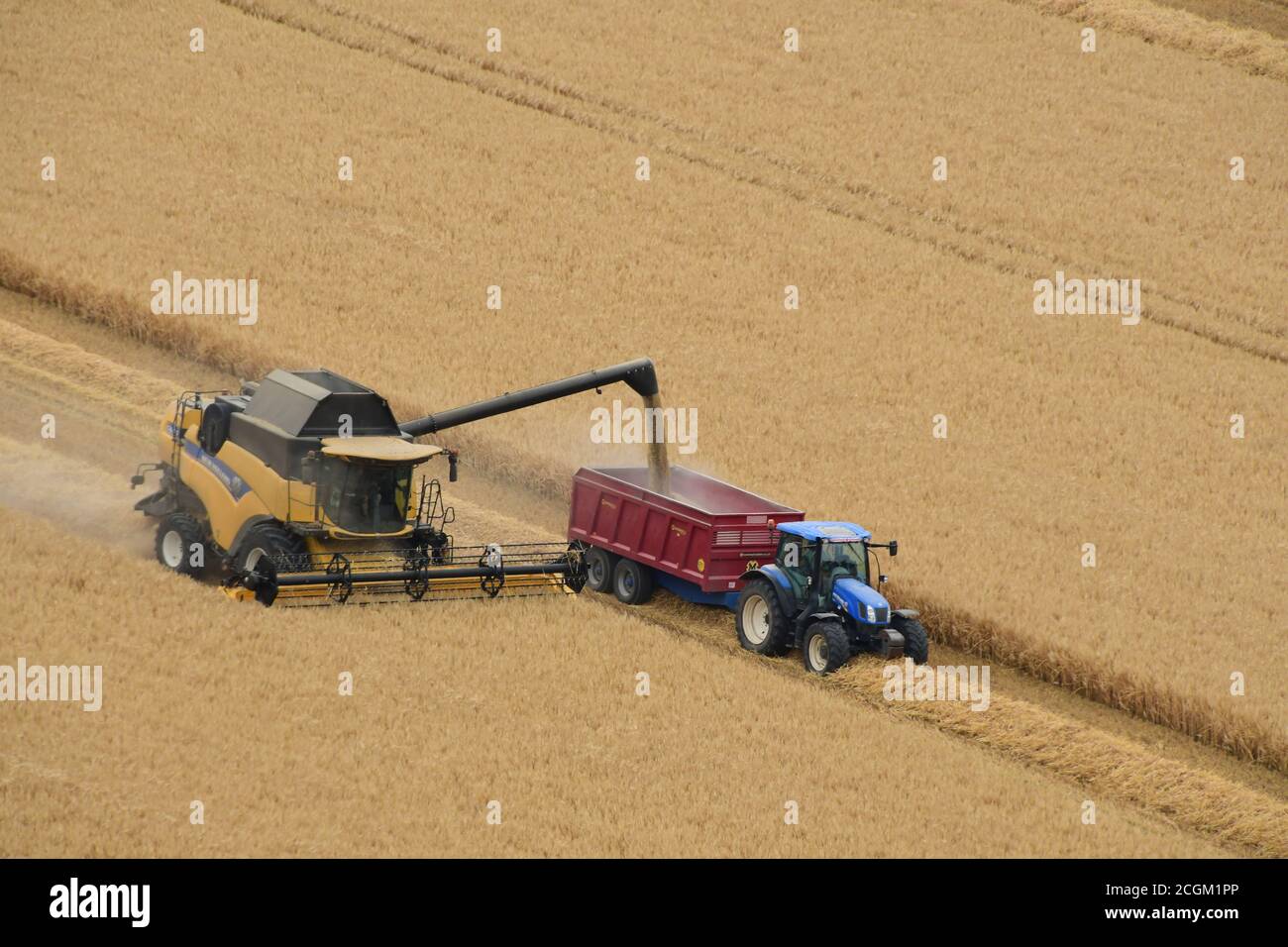 Una cosechadora descargando su grano en un tractor arrastrado remolque en un campo cerca de Mere en Wiltshire. Inglaterra, Reino Unido Foto de stock