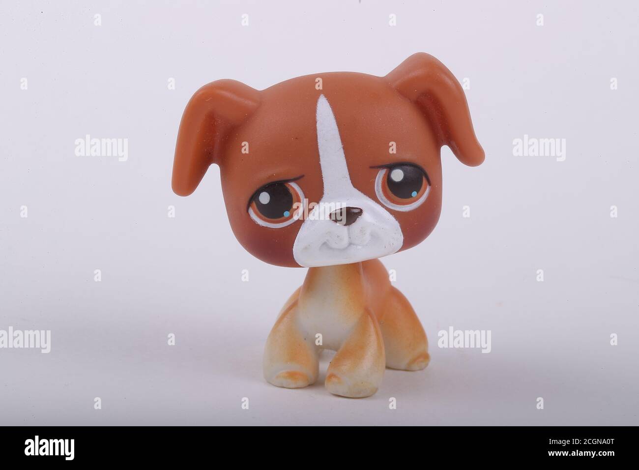 Littlest Pet Shop perro y gato sentado en monedas Fotografía de stock -  Alamy