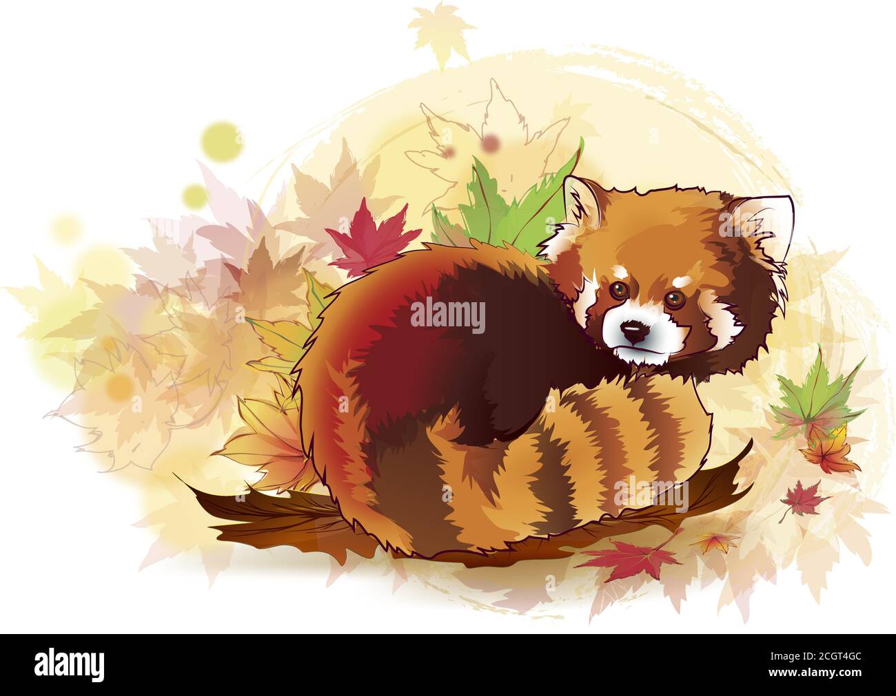 Ilustración vectorial del estilo de dibujos animados panda rojos. Vector retrato ilustrado de panda rojo también llamado Oso Rojo-Cat Imagen Vector de stock - Alamy Ilustración vectorial del estilo de dibujos animados panda rojos. Vector retrato ilustrado de panda rojo también llamado Oso Rojo-Cat Imagen Vector de stock - Alamy