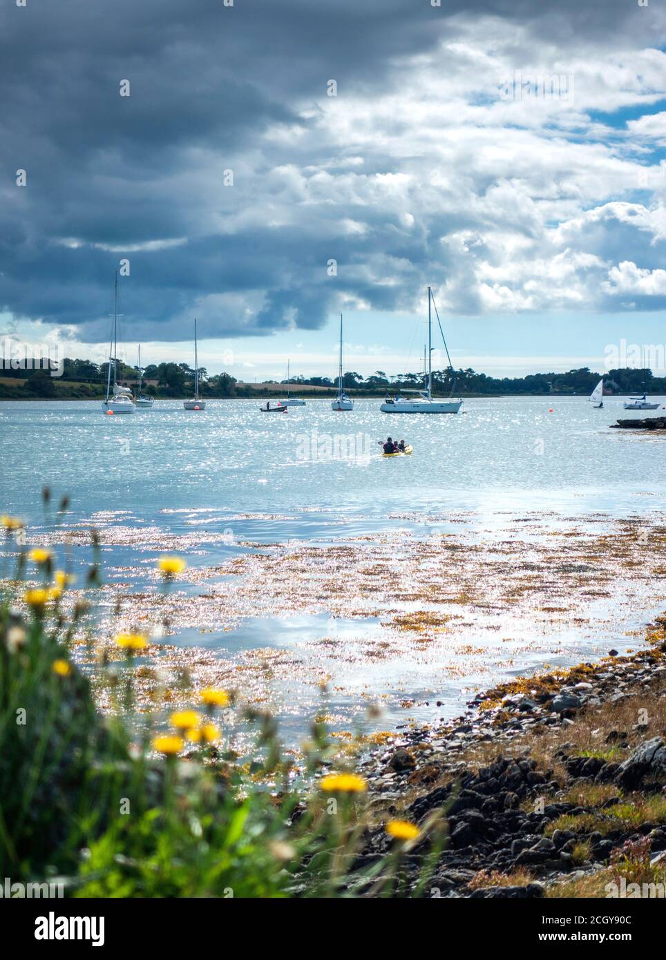 Navegación en Strangford Lough, Co. Down, Irlanda del Norte Foto de stock