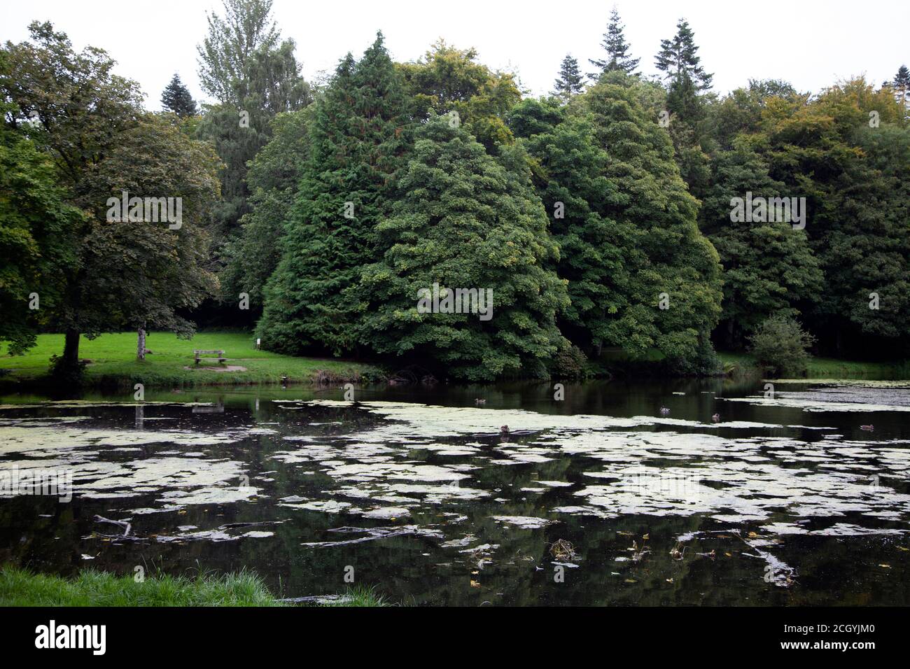 Lady's Lake, Dun An RI Forest Park, County Cavan, Irlanda Foto de stock