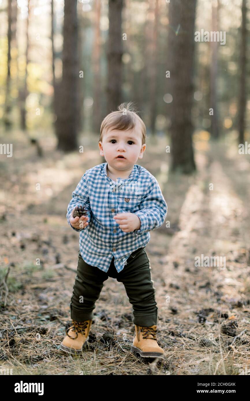 Niño pequeño feliz con camisa, pantalones y zapatos de cuadros con estilo, se encuentra en el parque o bosque de pinos de otoño sobre el fondo de árboles de pino de otoño Foto de stock