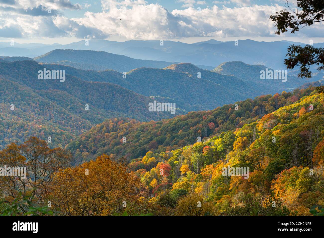 Great Smoky Mountains National Park, TN, Estados Unidos. Foto de stock