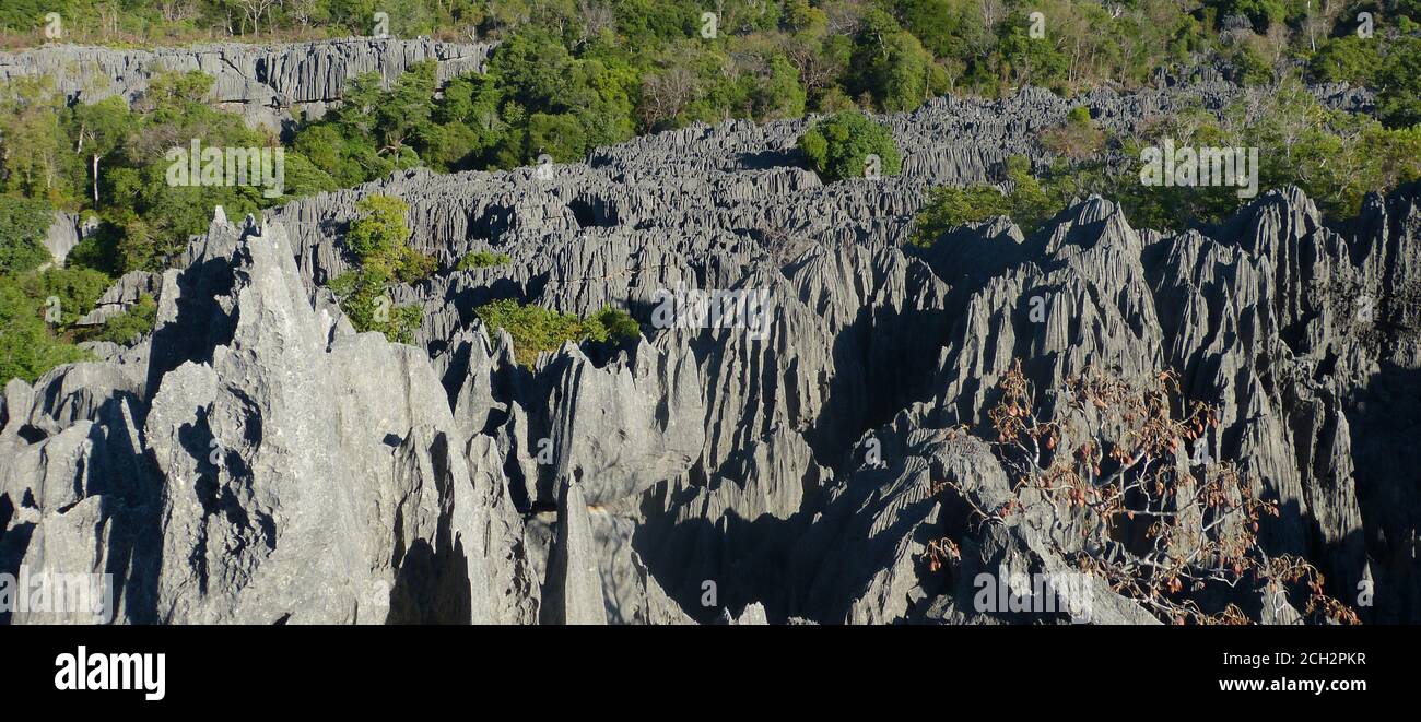 Impresionante paisaje rocoso de Tsingy de Bemaraha, Madagascar. Tsingy Reserva estricta naturaleza. Panorama de naturaleza prístina única. Formaciones rocosas escénicas. Foto de stock