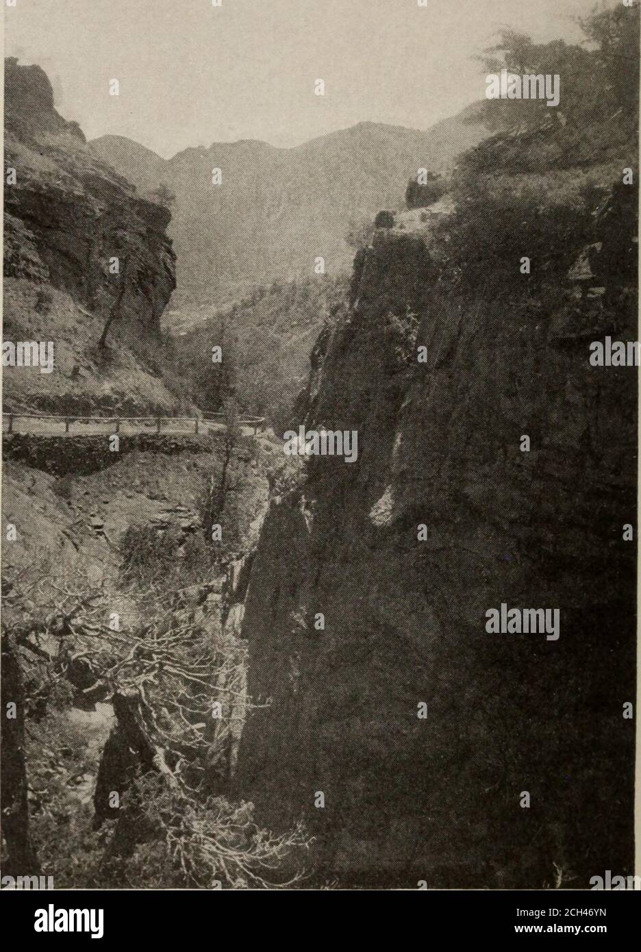 . Tours al Parque Yellowstone y la Costa del Pacífico: 3 de julio, 6 de agosto, 3 de septiembre de 1906. , domicilio, y carta que designa el coche en el que se encuentra el passengeris debe estar escrito claramente, y uno de los tesetags adheridos a cada pieza de equipaje, para servir como medio de identificación. El equipaje que se utilizaren los trenes especiales debe etiquetarse y facturarse de la manera habitual, en el billete, a Portland, Oregon. Cualquier pequeño satélite que contenga los artículos necesarios para los trenes de uso en ruta puede ser fácilmente acomodado en traviesas o en el compartimiento de equipajes, donde se puede tener ac-cess a la conveniencia de la o Foto de stock
