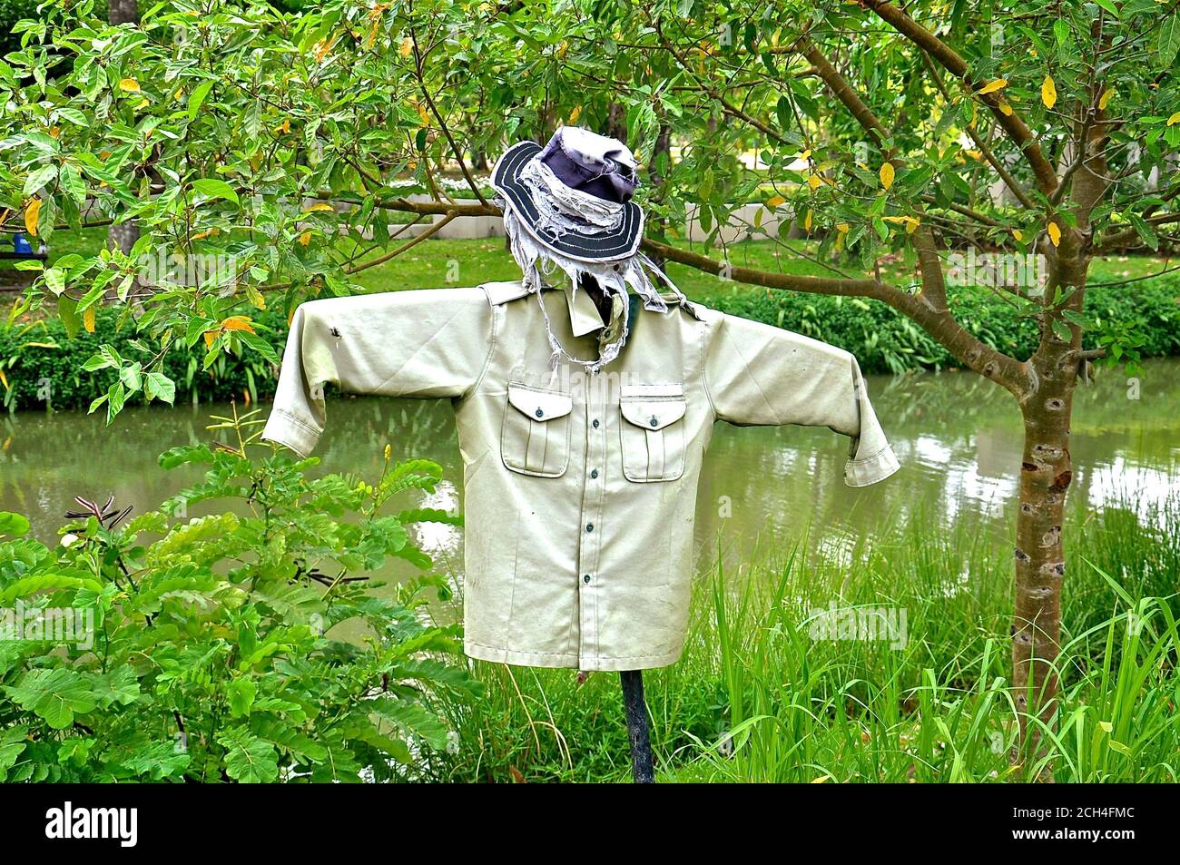 Un espantapájaros para asustar a las aves, hecho con una camisa y un sombrero, entre un fondo de vegetación verde exuberante. Foto de stock