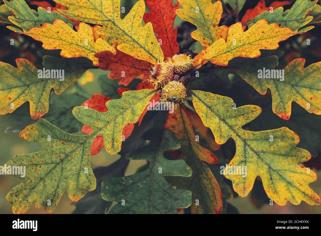 Portadas De Libros Fotos E Imagenes De Stock Alamy