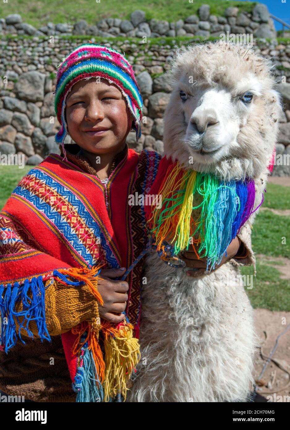 Un niño vestido con un poncho tradicional peruano colorido y vestido con un  chullo en su cabeza está parado con una llama en la carretera en Cusco en  Perú Fotografía de stock -