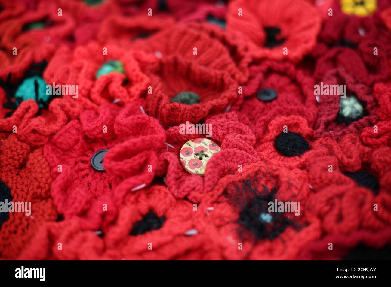 Algunas de las amapolas individuales que conforman la exposición de 5000 amapolas - que utiliza casi 300,000 amapolas de crocheted individualmente, que cubren casi 2.000m2 (21.000pies cuadrados) en los terrenos del Royal Hospital Chelsea - durante un día de vista previa en el Chelsea Flower Show en Londres. Foto de stock