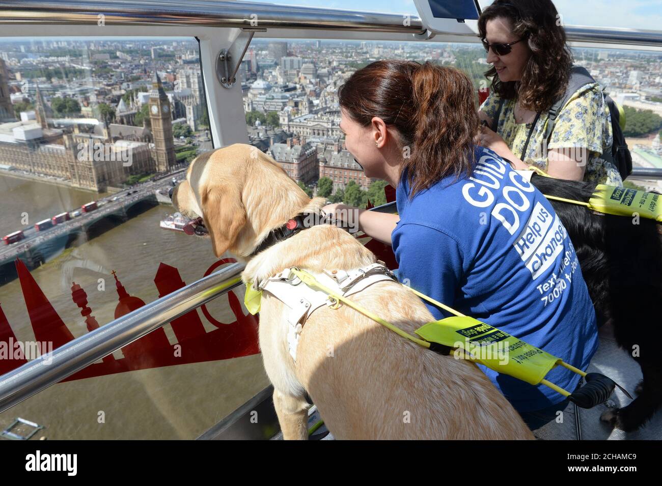 Voluntarios de la rama Medway de perros guía para ciegos tomando un paseo en el London Eye con sus cachorros en entrenamiento. Foto de stock
