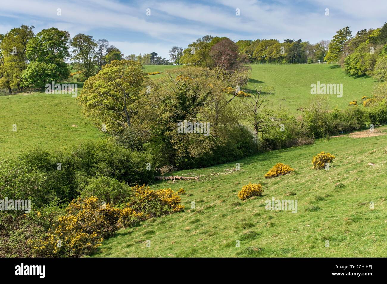 Campos verdes en el campo en Leicestershire, Inglaterra, Reino Unido Foto de stock