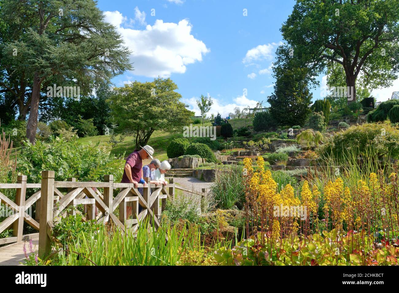 Los Jardines de la Royal Horticultural Society en Wisley en un día de verano, con los visitantes admirando los exuberantes jardines, Surrey Inglaterra Reino Unido Foto de stock