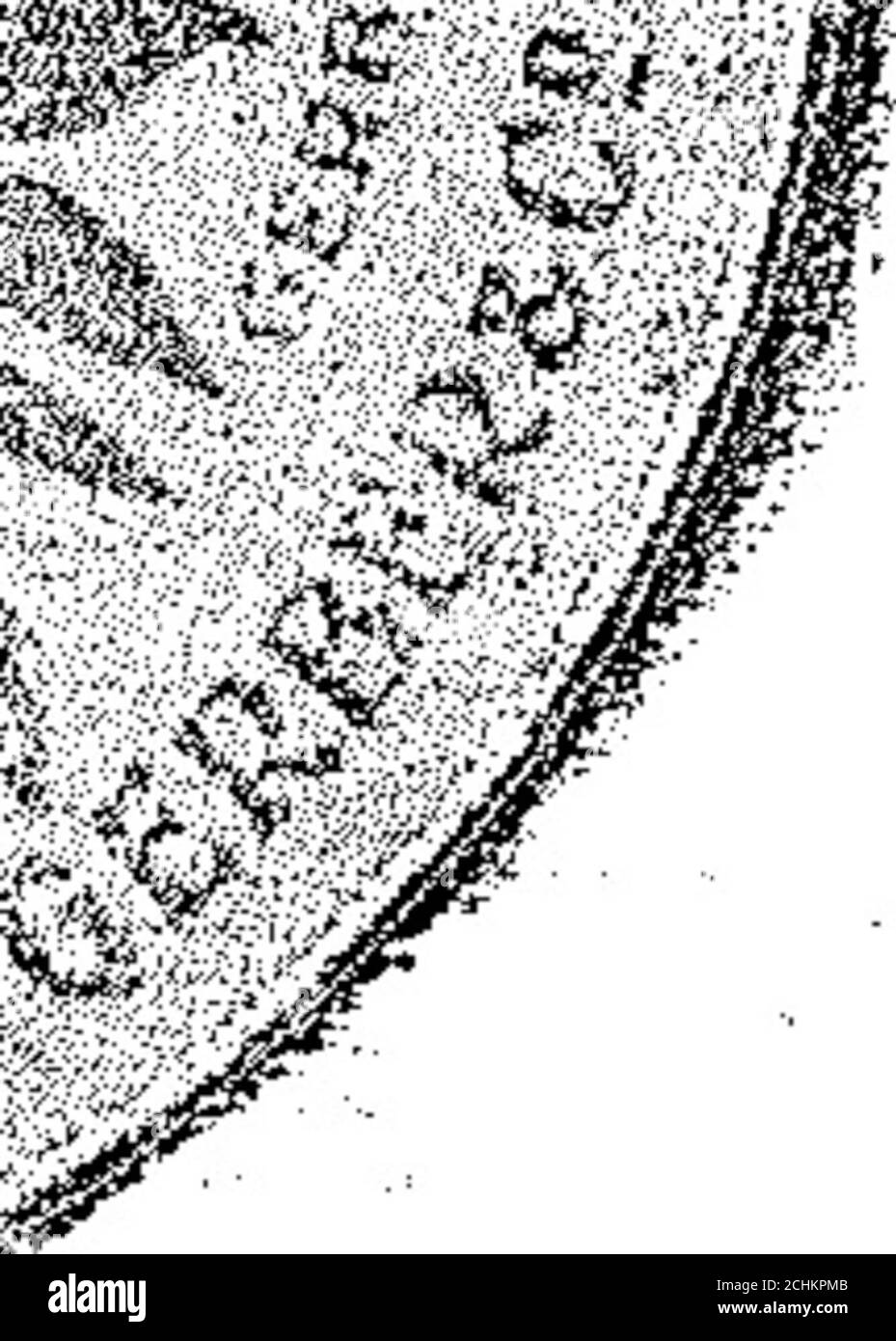 Boletín Oficial de la República Argentina. 1917 1ra sección . MARCA  REGISTRADA Eaero Í8 de 1917. — Eduardo Fe rrrrer. —- para distinguir  aparatos y.srtículQS.dc calefaccion, ventilación, refrigeración,  hidroterapia, ar-ícticos sanitarios,