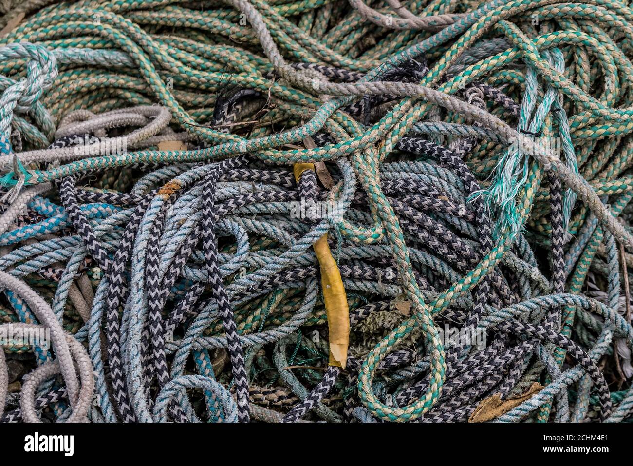 Un montón de cuerdas y nudos de pesca Foto de stock