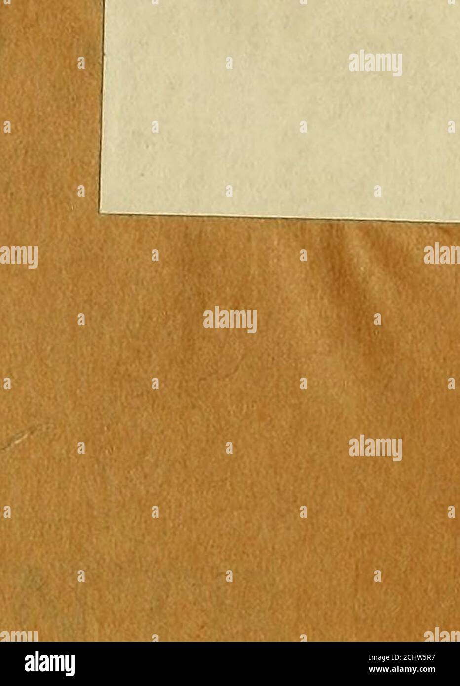 41 N A N A N A Fotos E Imagenes De Stock Pagina 50 Alamy