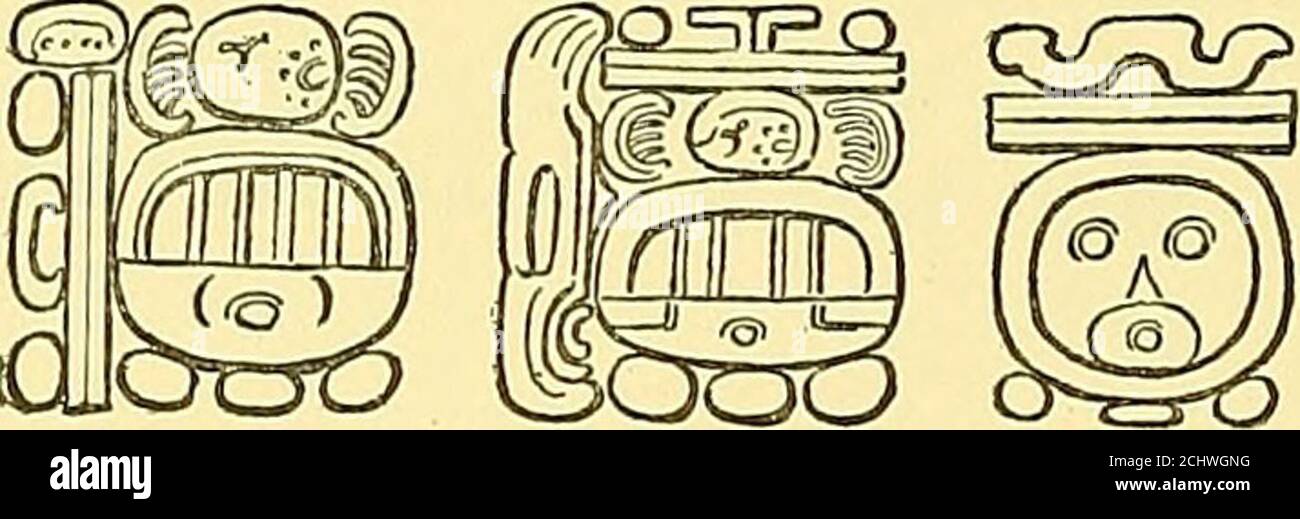 Biologia Centrali-Americana, o, contribuciones al conocimiento de la fauna  y flora de México y Centroamérica en una posicióndonde era imposible  confundir su significado—porque ocurren en una tableta Tikal, los únicos  signos