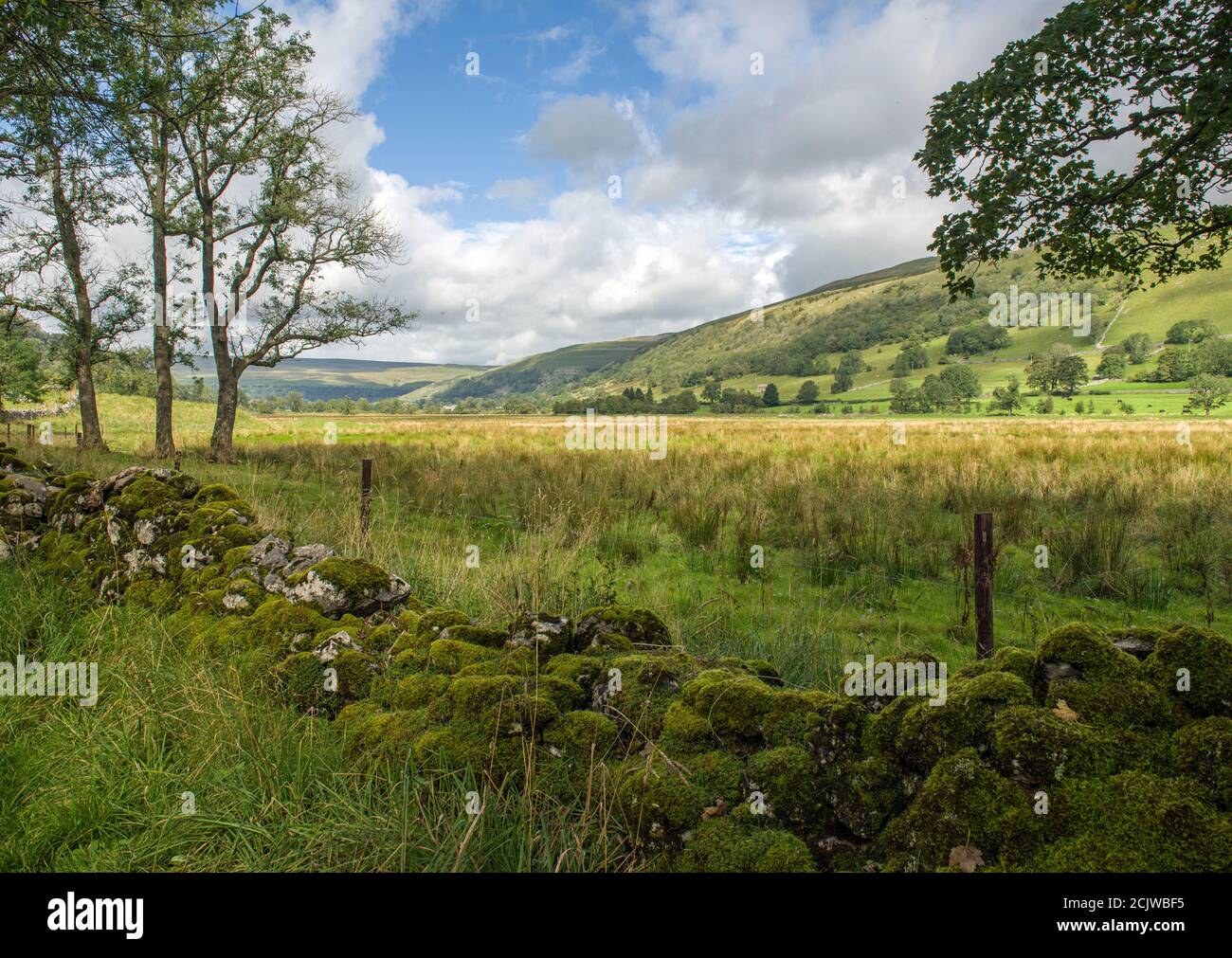Muro de piedra seca y la pradera Marsh en Upper Wharfedale cerca de Buckden en un día soleado en Spetember. Foto de stock
