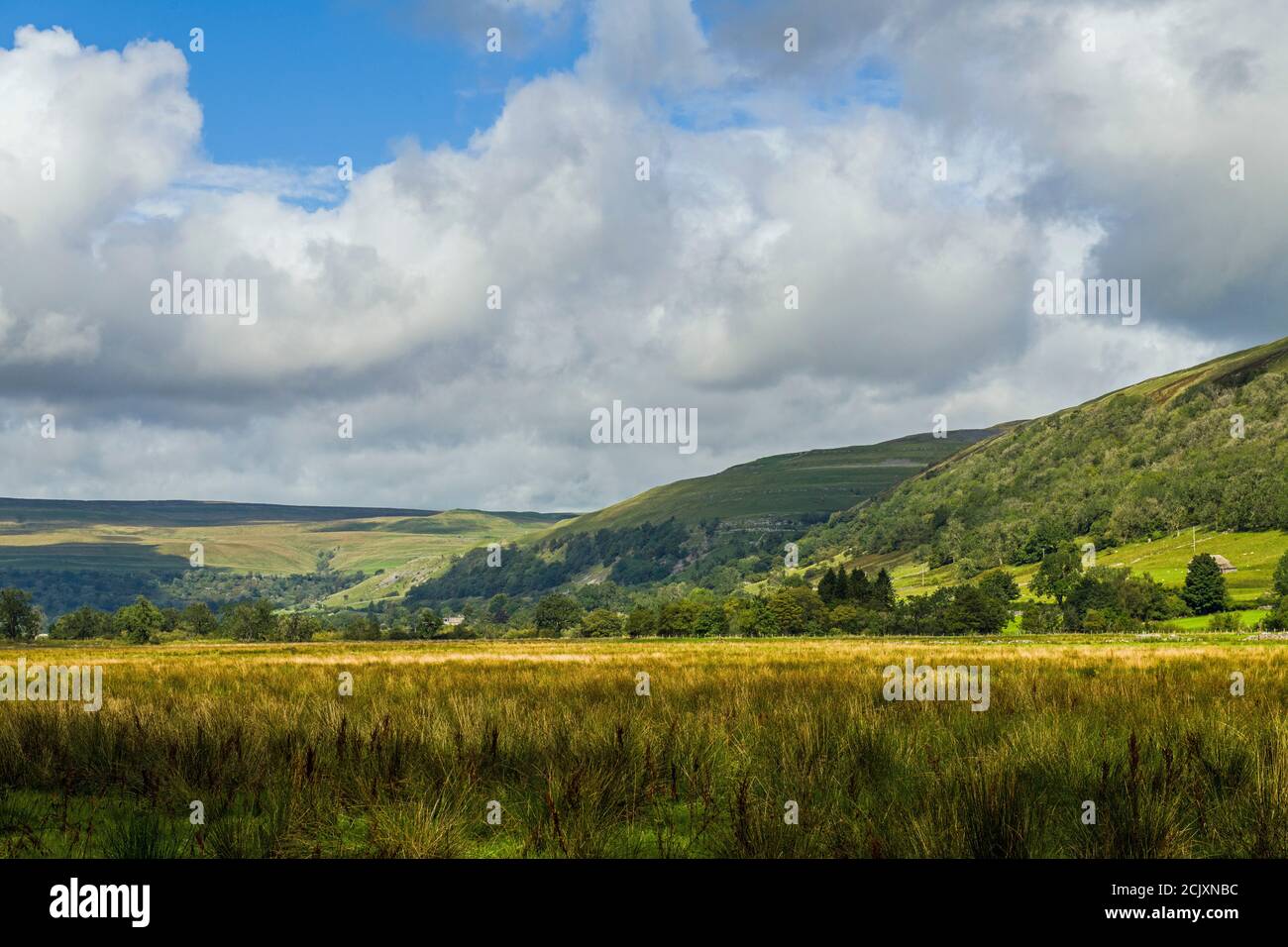 Marsh Meadow by the River Wharfe en Upper Wharfedale en el Parque Nacional Yorkshire Dales, durante una caminata de septiembre. Foto de stock