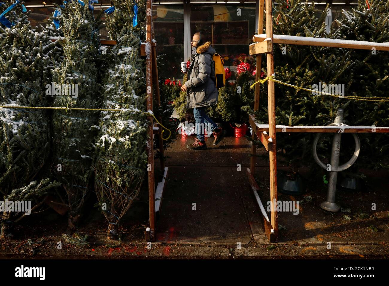 Un hombre camina a través de una venta de árboles de Navidad en la acera durante el viaje de la mañana en el barrio de Brooklyn de la ciudad de Nueva York, EE.UU., 3 de diciembre de 2019. REUTERS/Brendan McDermid Foto de stock