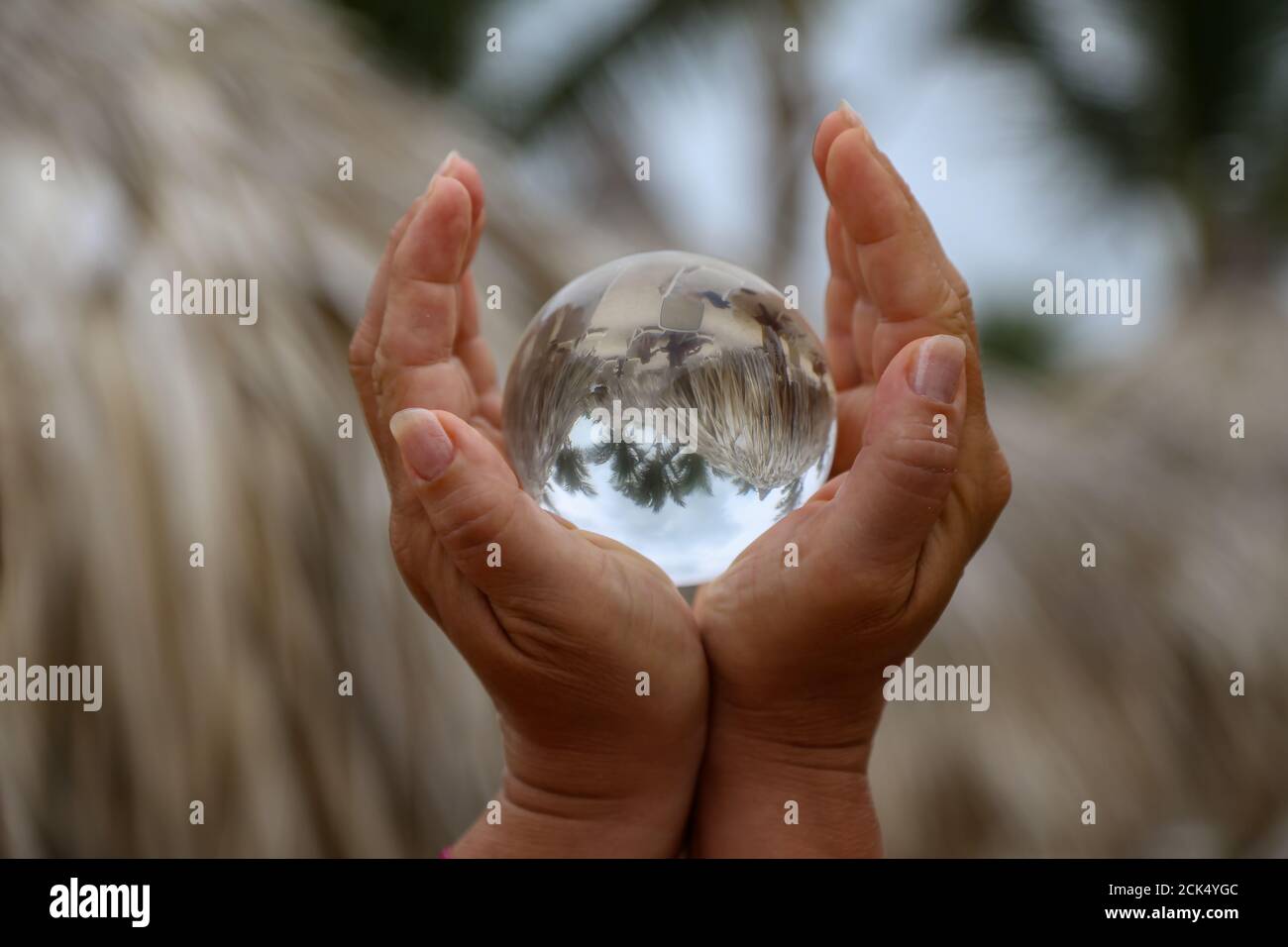 Resumen primer plano enfoque de una mujer sosteniendo un vaso bola  Fotografía de stock - Alamy