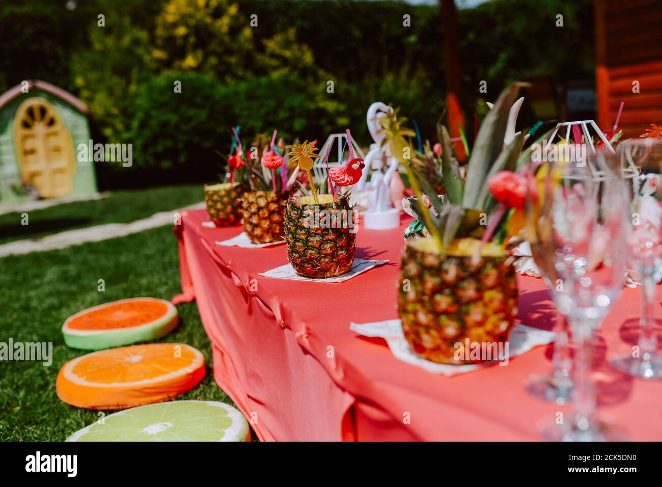 decorada con cócteles de piña celebrar una fiesta de despedida de soltera en un hermoso jardín. Las chicas están teniendo una fiesta Fotografía de stock - Alamy