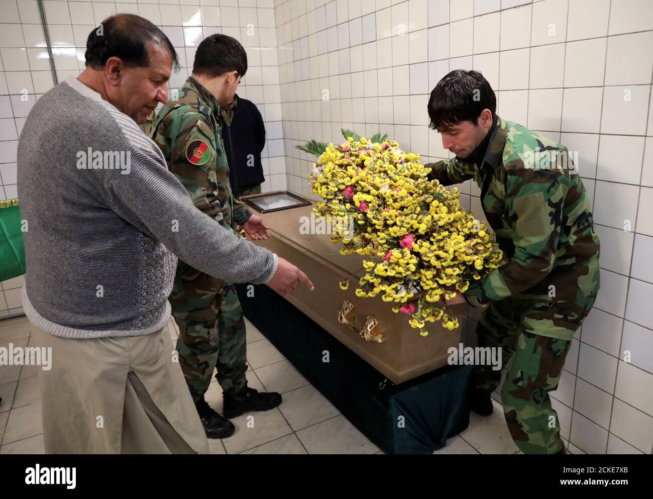 Flor nacional de afganistán fotografías e imágenes de alta resolución - Alamy Flor nacional de afganistán fotografías e imágenes de alta resolución - Alamy