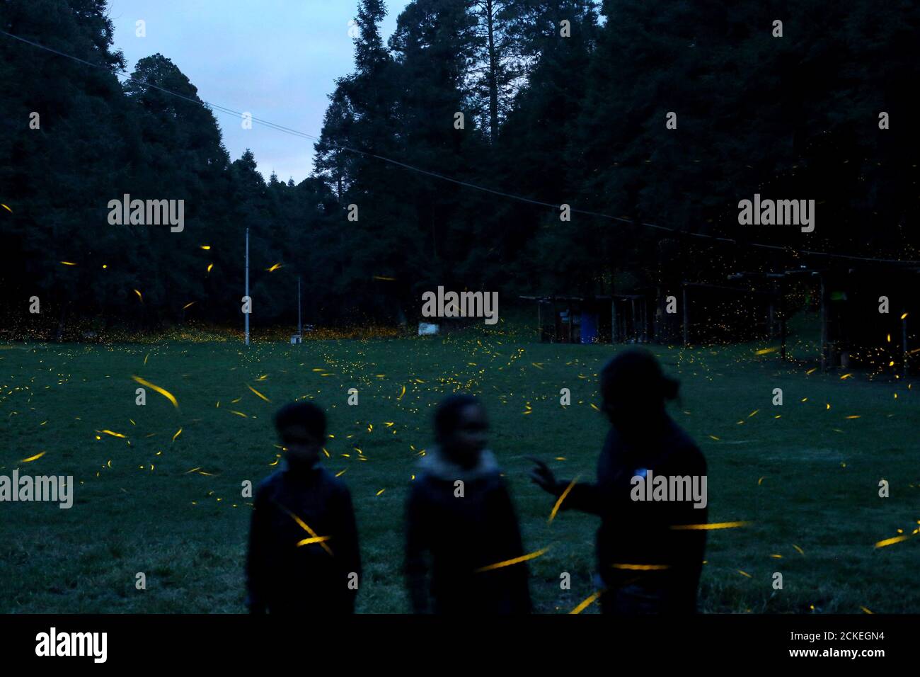 Piedra canteada fotografías e imágenes de alta resolución - Alamy