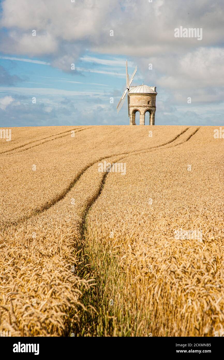 La torre de piedra con arcadas de Chesterton molino de viento en un campo de maíz de oro en un día soleado de verano - Warwickshire UK Foto de stock
