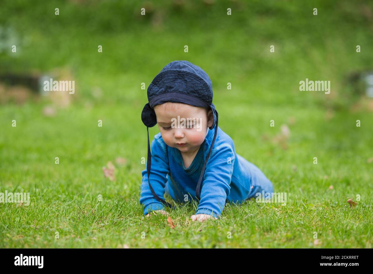 bebé de 6 meses arrastrándose afuera en hierba verde Foto de stock