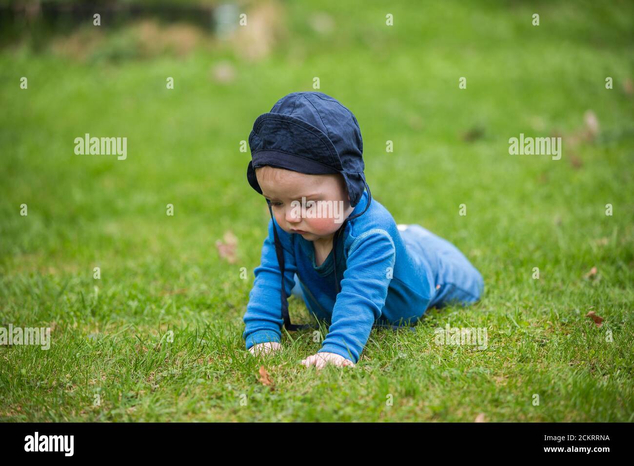 bebé de 6 meses arrastrándose afuera en hierba verde Foto de stock