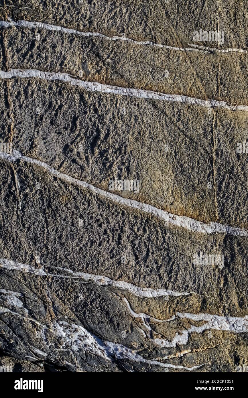 Intrusiones de cuarzo u otro mineral en roca volcánica, que también fue raspado por un glaciar, en la Cordillera Heliotrope debajo del Monte Baker, Monte Baker-Snoq Foto de stock