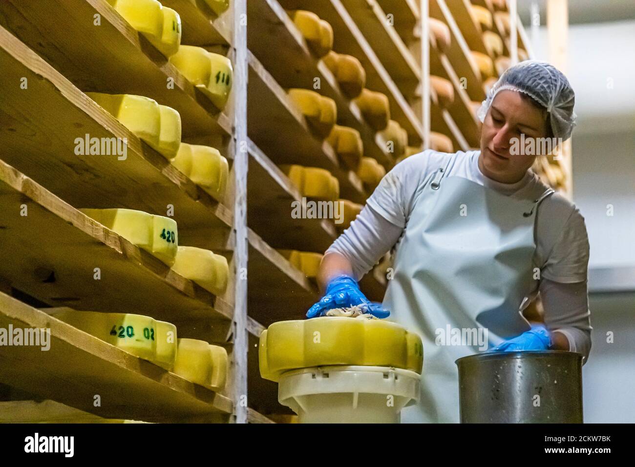 La producción de quesos en Franche-Comté, Francia Foto de stock