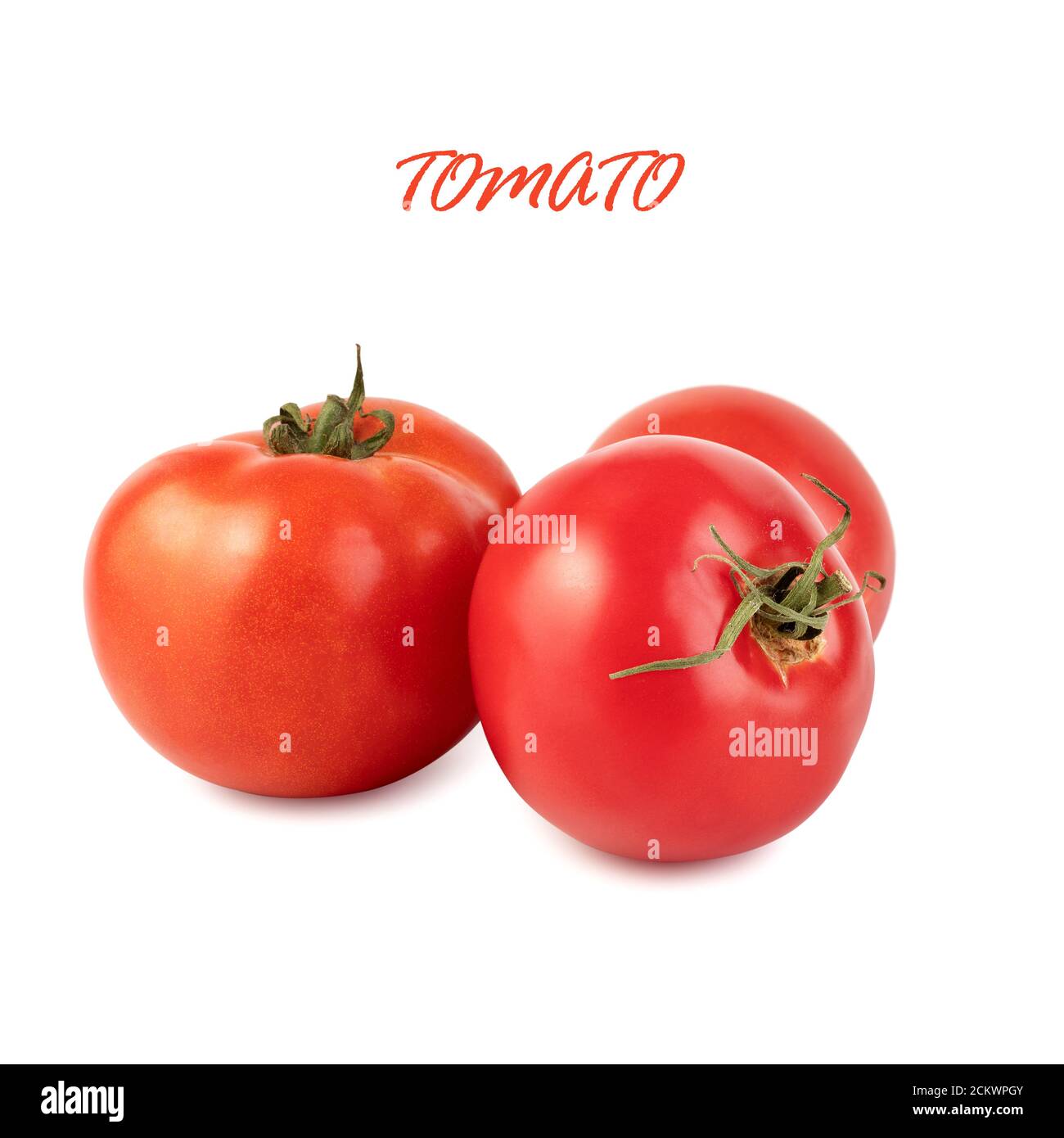 Planta De Tomate Bebe Fotos E Imagenes De Stock Alamy