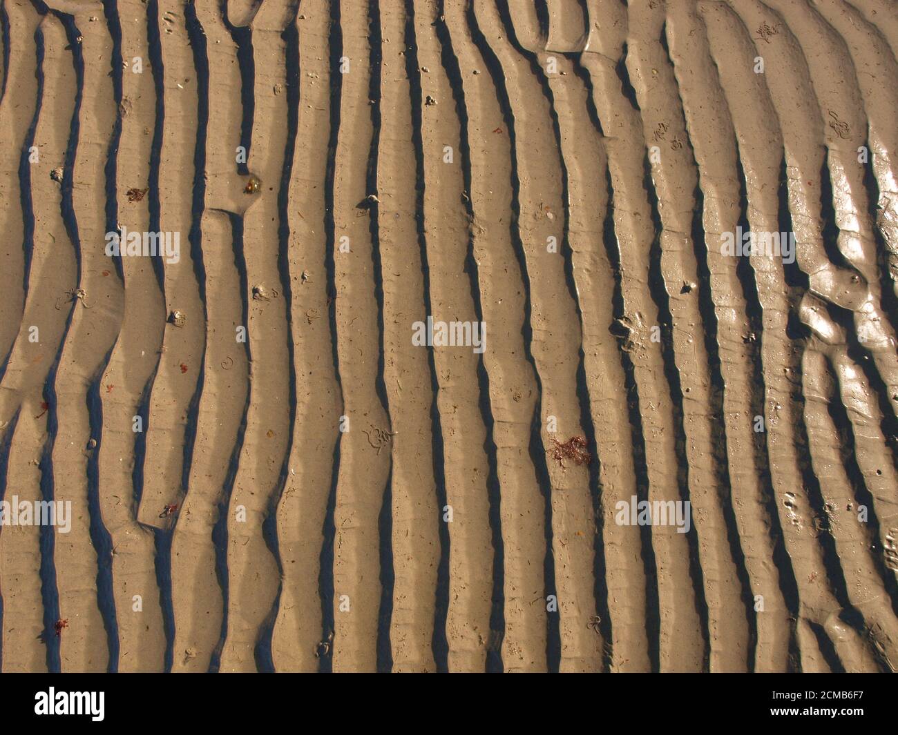 formas de agua dejadas por el mar en la arena Foto de stock