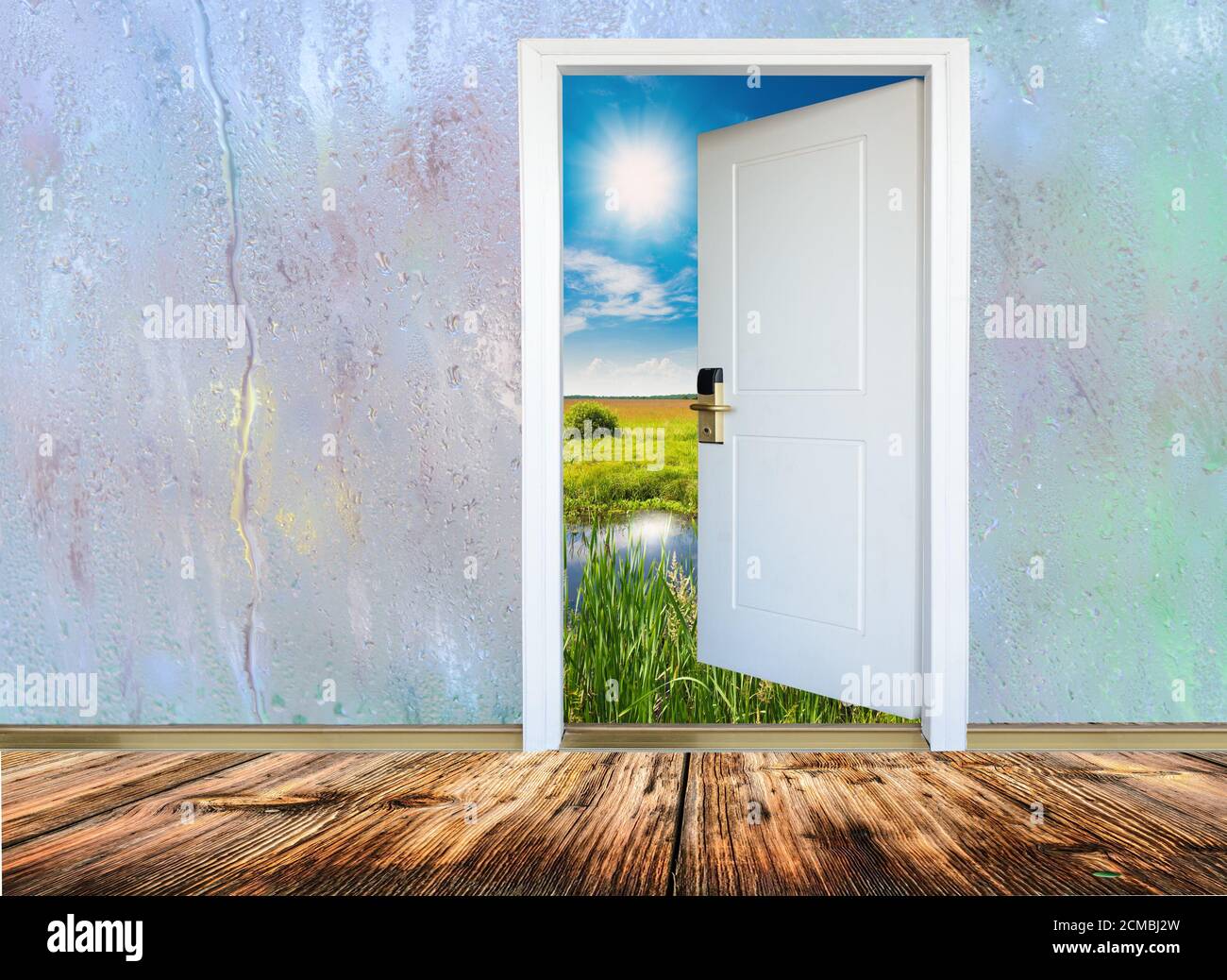 Abra la puerta con una vista de verde pradera iluminada por la brillante luz del sol Foto de stock