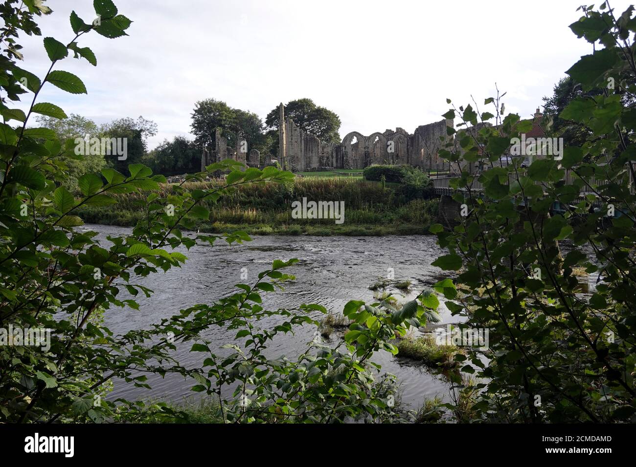 Ropa de río en el Priorato Finchale Durham Foto de stock