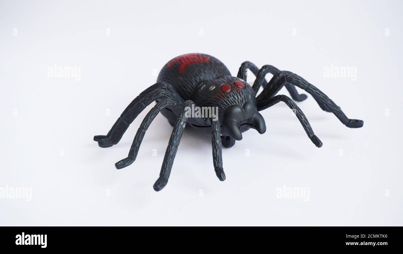 Negro reloj araña de juguete de plástico sobre un fondo blanco, de cerca. Oncept de celebrar el día de los muertos, Halloween. Foto de stock