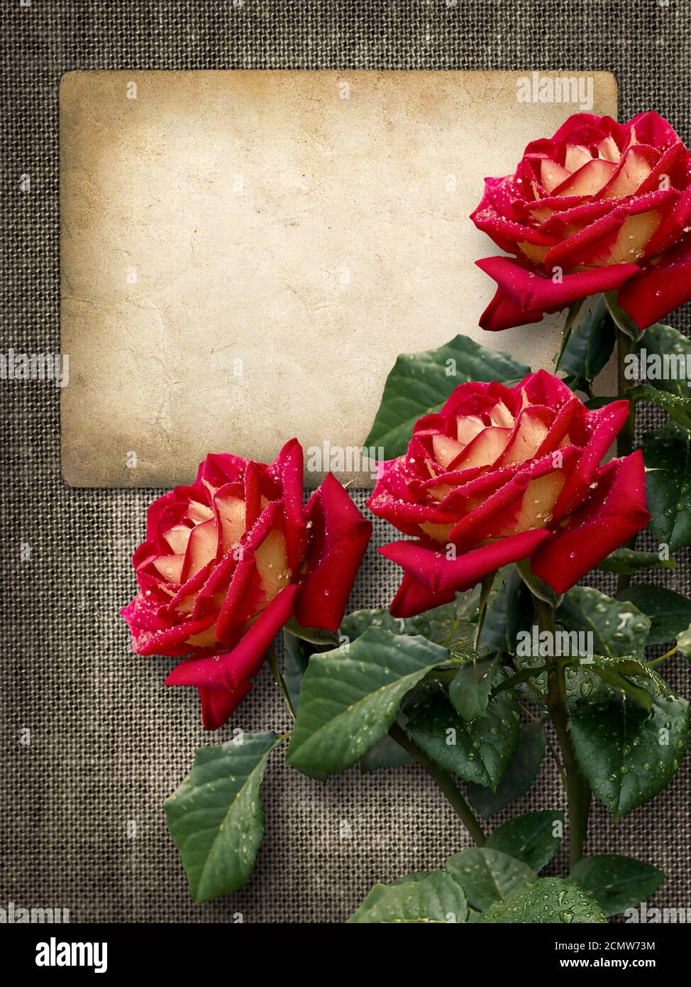Tarjeta de felicitación o invitación con rosas rojas en estilo vintage Fotografía de stock - Alamy Tarjeta de felicitación o invitación con rosas rojas en estilo vintage Fotografía de stock - Alamy