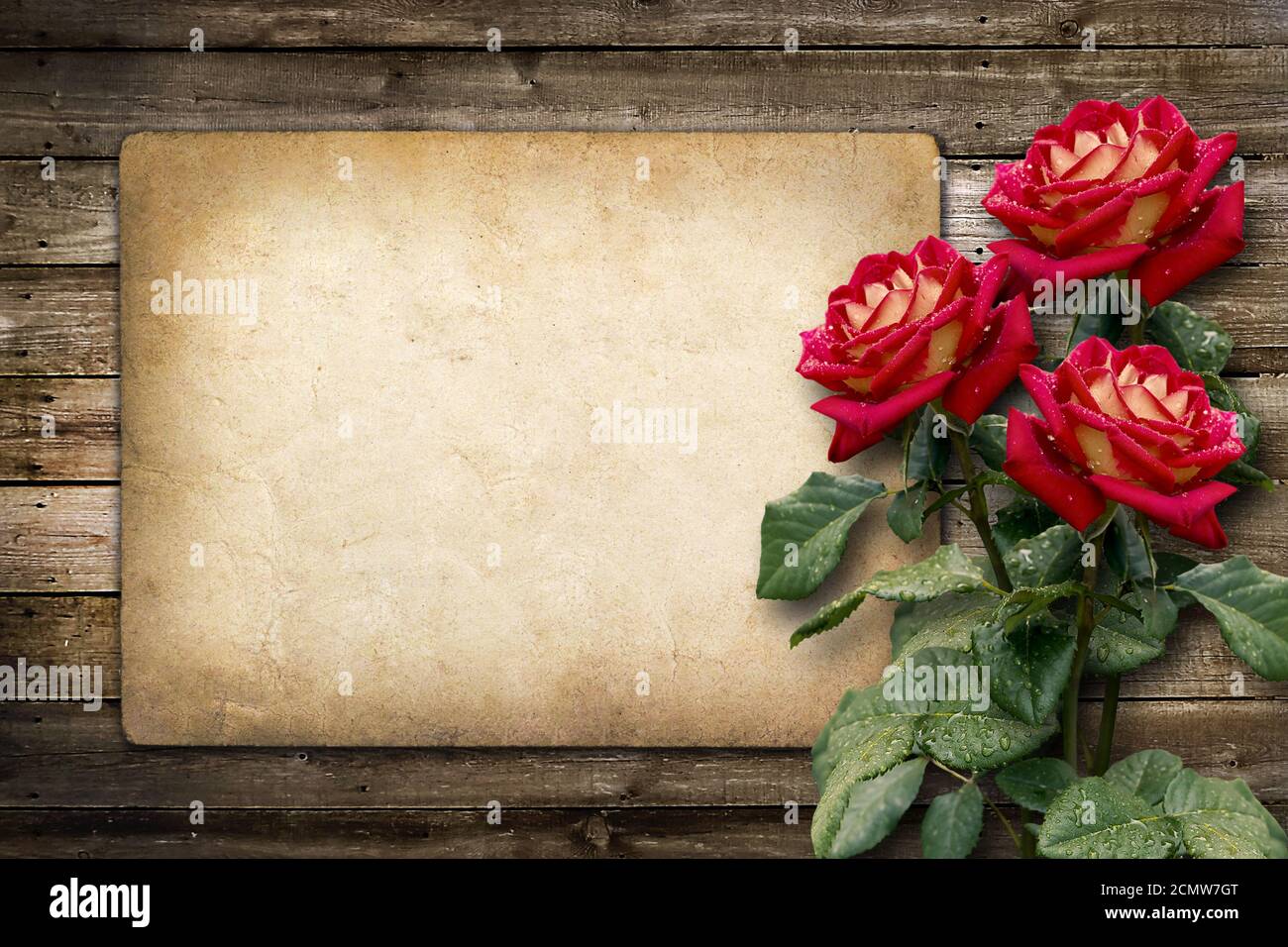 Tarjeta de felicitación o invitación con rosa roja en estilo vintage  Fotografía de stock - Alamy