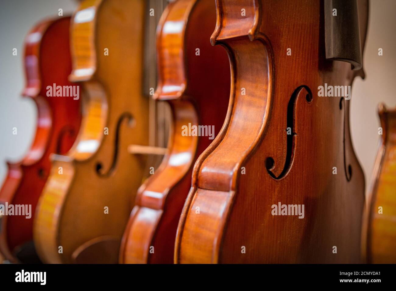 Cuántas cuerdas tiene un violín