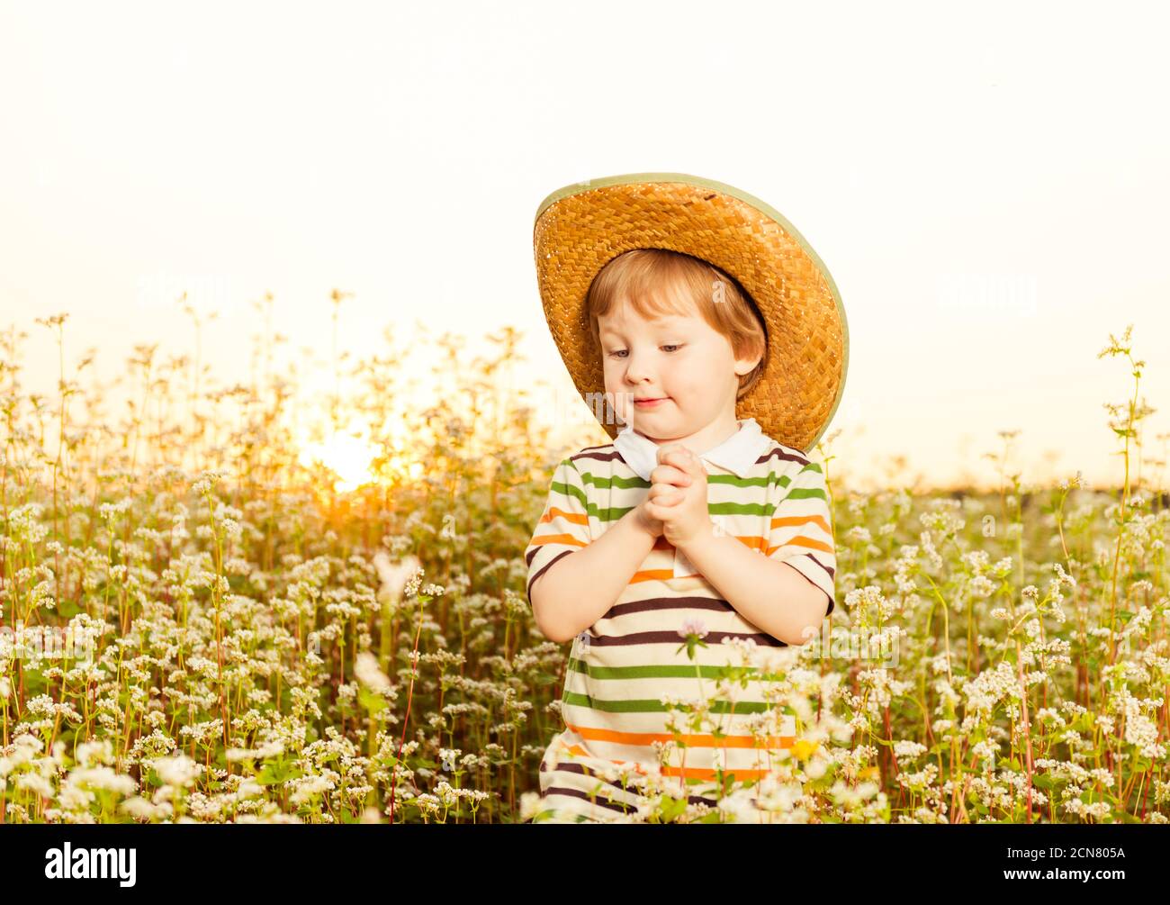 retrato de niño pequeño en las plantas de campo de tierras de cultivo al atardecer del verano Foto de stock
