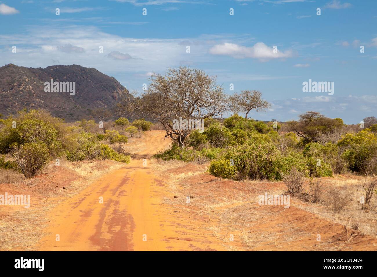 Carretera en Kenya, sabana con montañas y cielo azul y algunas nubes Foto de stock