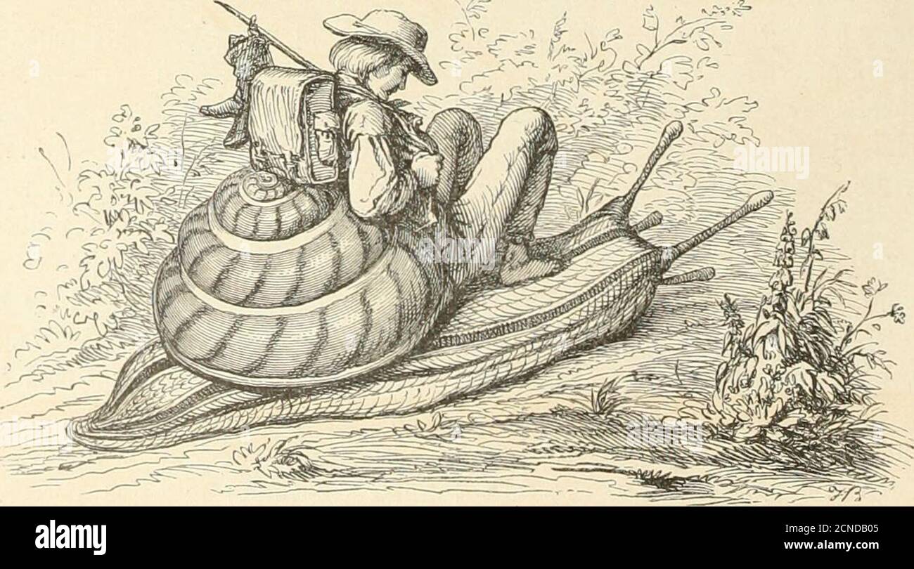 Marchen De Robert Reinick Lieder Und Geschichtenbuch T Fein Gfel Aber E Mar Bod Mieein C Attet An Nful Ien S6en Molltc Er Fid Inaufid Mingen En El Merfte E Fei Einfalte Naffes Sier Bo