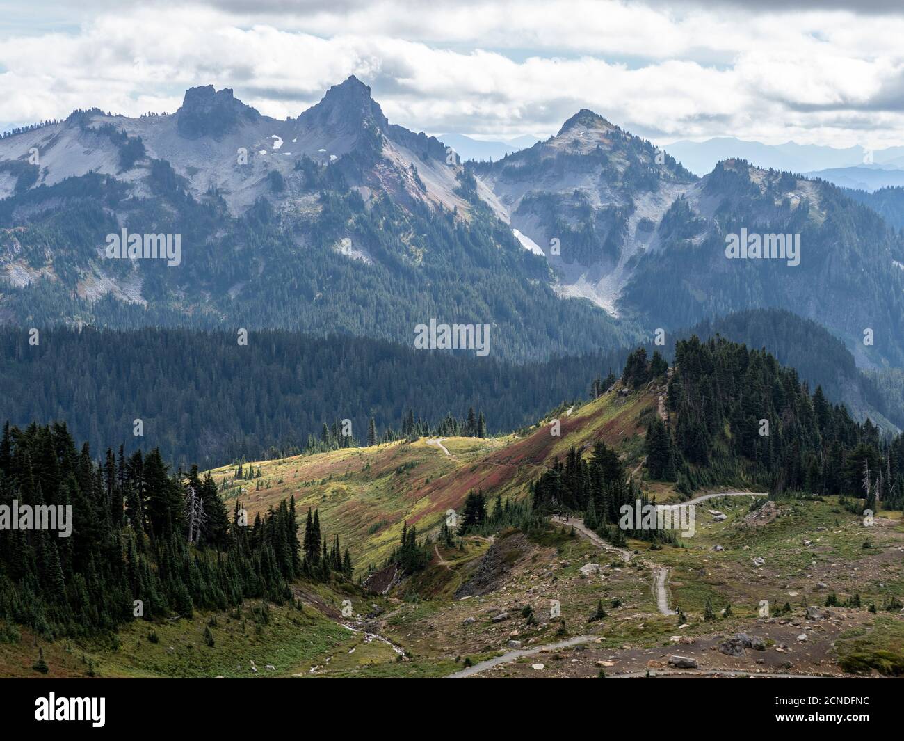 Vistas desde la ruta Skyline Trail del Parque Nacional Mount Rainier, estado de Washington, Estados Unidos de América Foto de stock