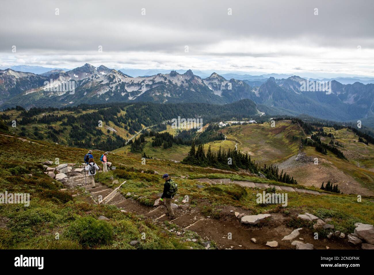 Vistas desde la ruta Skyline Trail del Parque Nacional Mount Rainier, estado de Washington, Estados Unidos de América Foto de stock