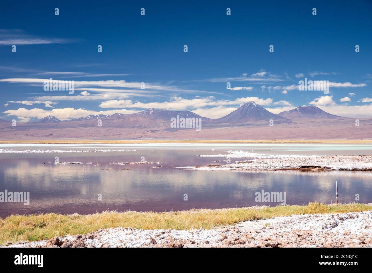 Laguna Tebenquicne, una laguna de agua salada en el Salar de Atacama, Reserva Nacional los Flamencos, Chile Foto de stock
