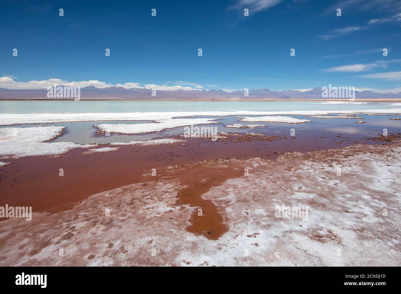 Laguna Tebenquicne, una laguna de agua salada en el Salar de Atacama, Reserva Nacional los Flamencos, Chile Foto de stock