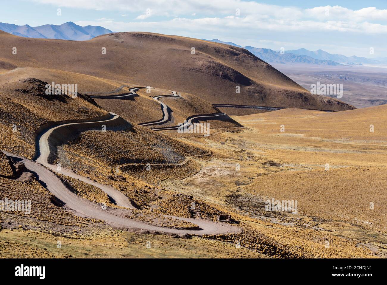 Ruta 40, carretera empinada que conduce al paso Piedra del Molino, Parque Nacional los Cardones, Provincia de Salta, Argentina Foto de stock