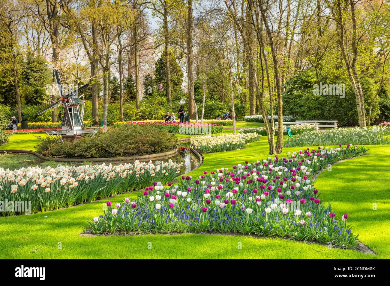 Keukenhof Gardens, Lisse, Holanda del Sur, países Bajos, Europa Foto de stock