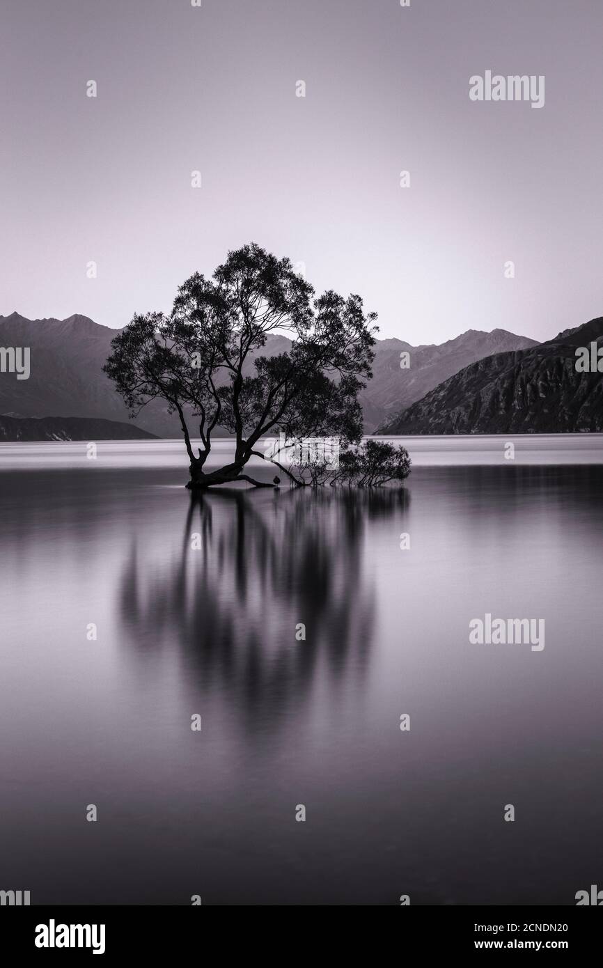 Lago Wanaka, Hora Azul, Parque Nacional Monte-aspirante, Patrimonio de la Humanidad de la UNESCO, Otago, Isla del Sur, Nueva Zelanda, Pacífico Foto de stock